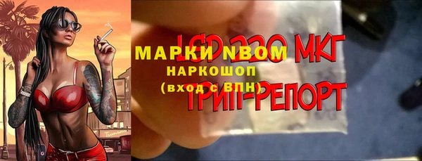 сатива Абаза