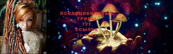 сатива Абаза