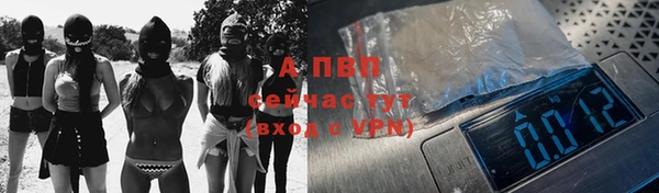 сатива Абаза