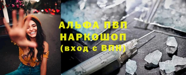 сатива Абаза