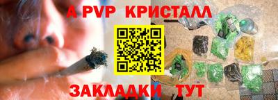 a pvp Аша