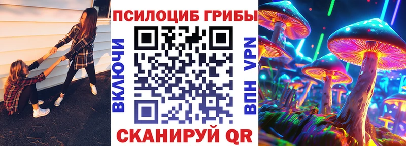MEGA как войти  Морозовск  Псилоцибиновые грибы GOLDEN TEACHER  купить наркоту 